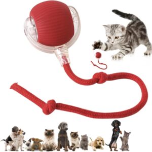 Automatic Cat Teasing Ball