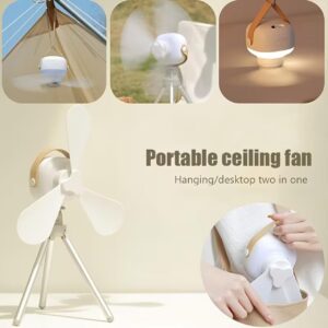2 In 1 Desktop & Ceiling Fan